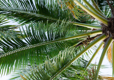 Waterford Landing Weston Florida